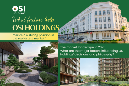 THE 2025 MARKET LANDSCAPE - KEY FACTORS BEHIND OSI HOLDINGS’ STRONG POSITION IN REAL ESTATE