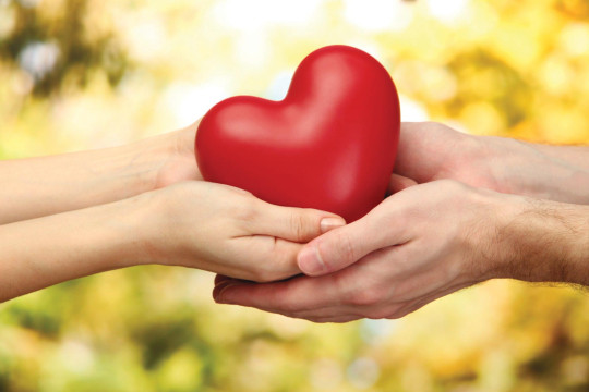 Sẻ Chia Khó Khăn, Vượt Qua Bão Lũ: OSI Holdings Ủng Hộ Đồng Bào Ảnh Hưởng Cơn Bão số 10 & số 11